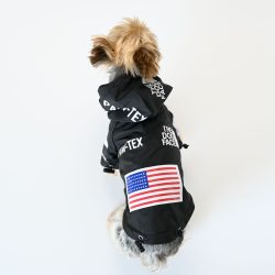 Dog_Rain jacket_Black_city-barker3