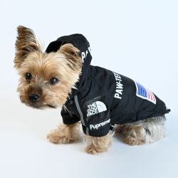 Dog_Rain jacket_Black_city-barker5