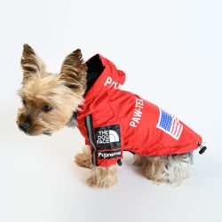 Dog_Rain jacket_Red_city-barker6
