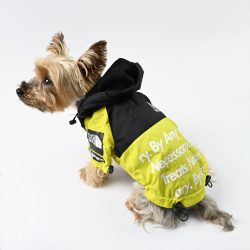 Dog_Rain jacket_yellow_city-barke1
