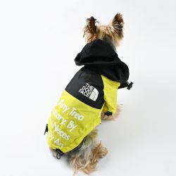 Dog_Rain jacket_yellow_city-barke3